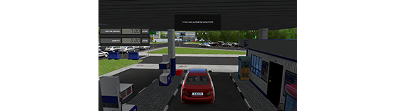 City Car Driving