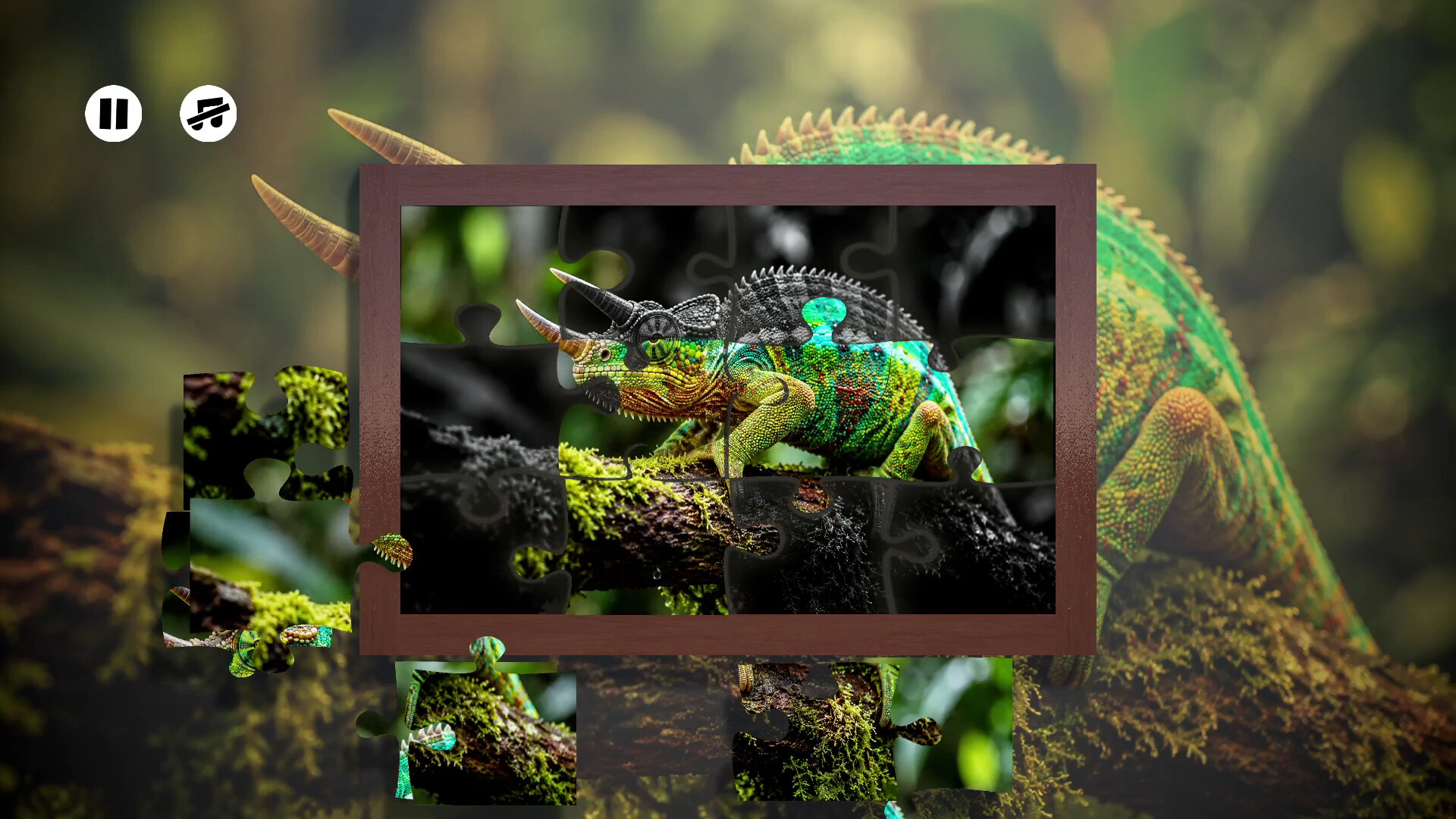 Puzzles Lizards screenshot