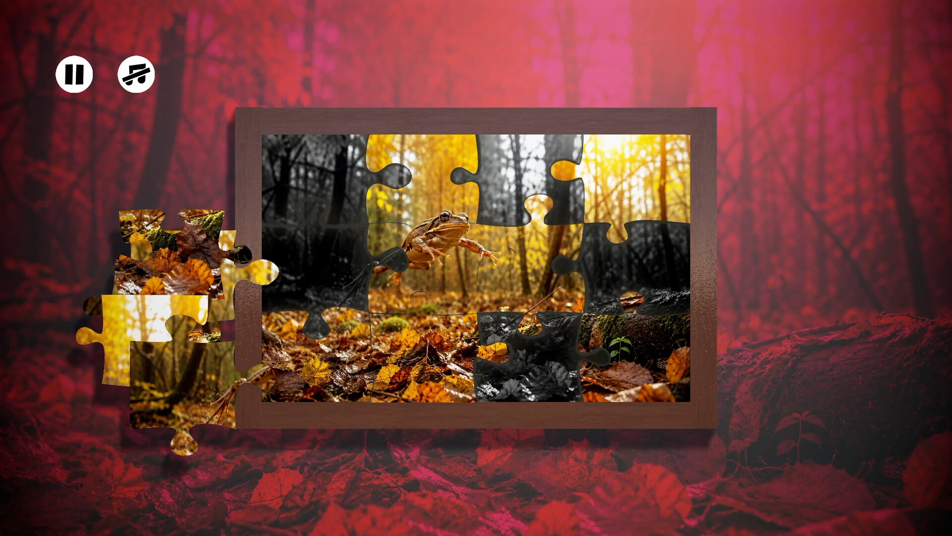 Puzzles Frogs 스크린샷 4