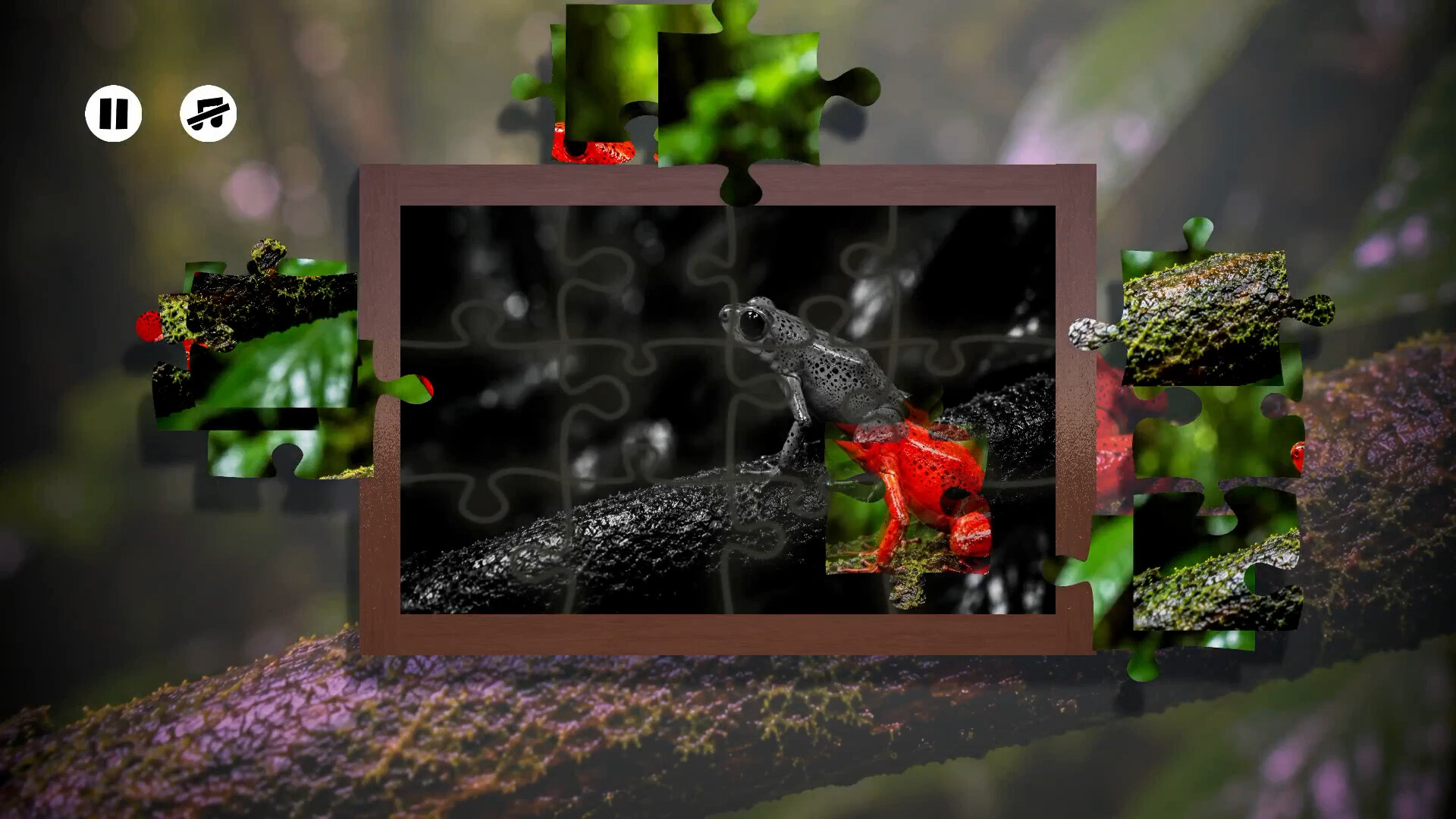 Puzzles Frogs 스크린샷 1