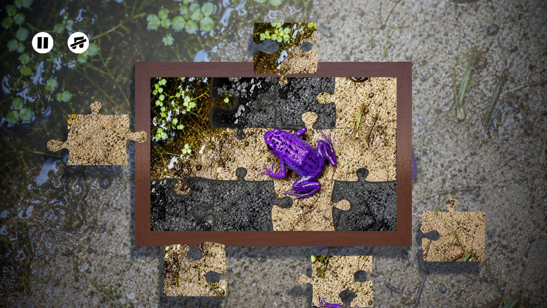 Puzzles Frogs 스크린샷 5
