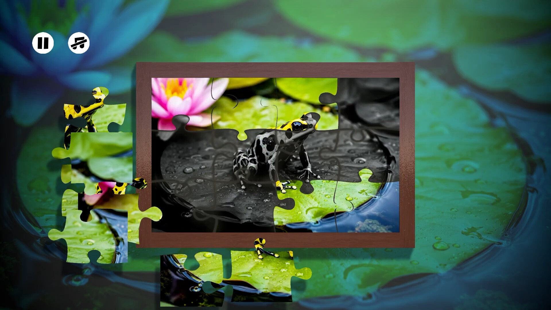 Puzzles Frogs 스크린샷 2