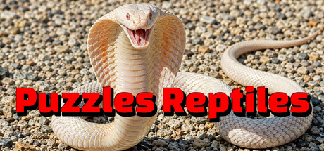 Puzzles Reptiles — Steam