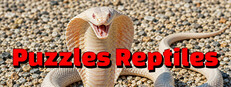 Puzzles Reptiles