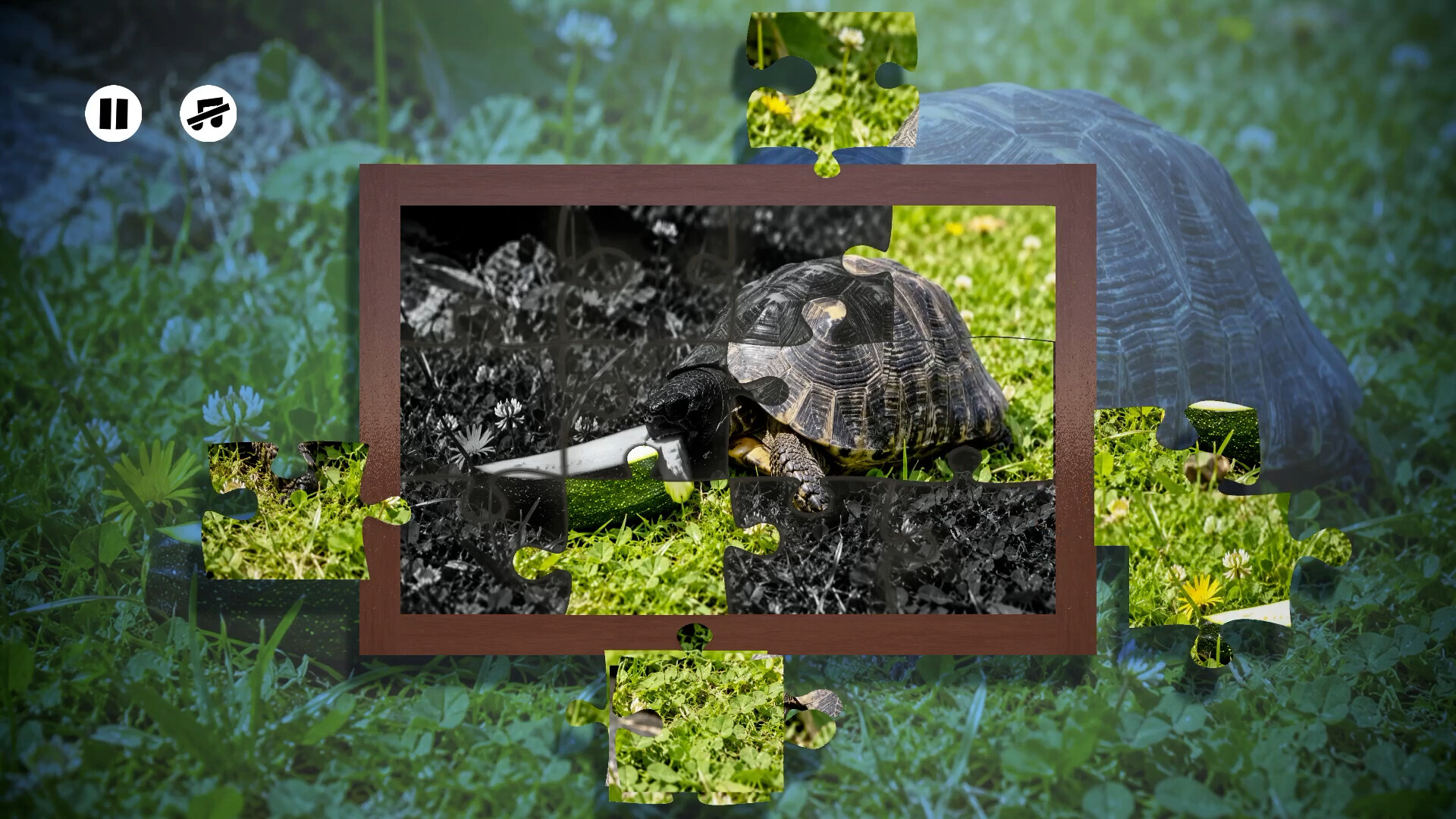 Puzzles Reptiles screenshot
