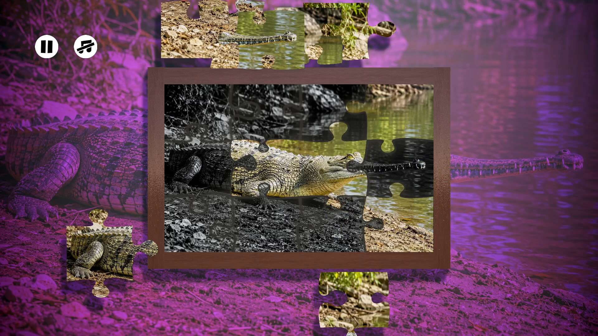 Puzzles Reptiles screenshot