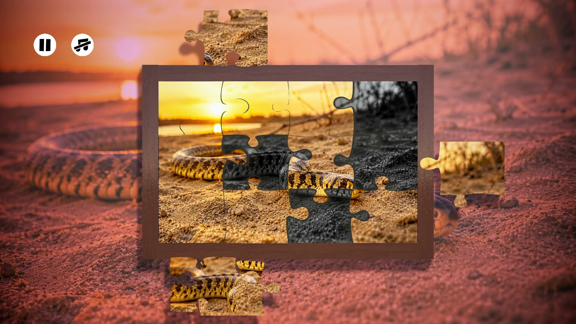 Puzzles Reptiles screenshot