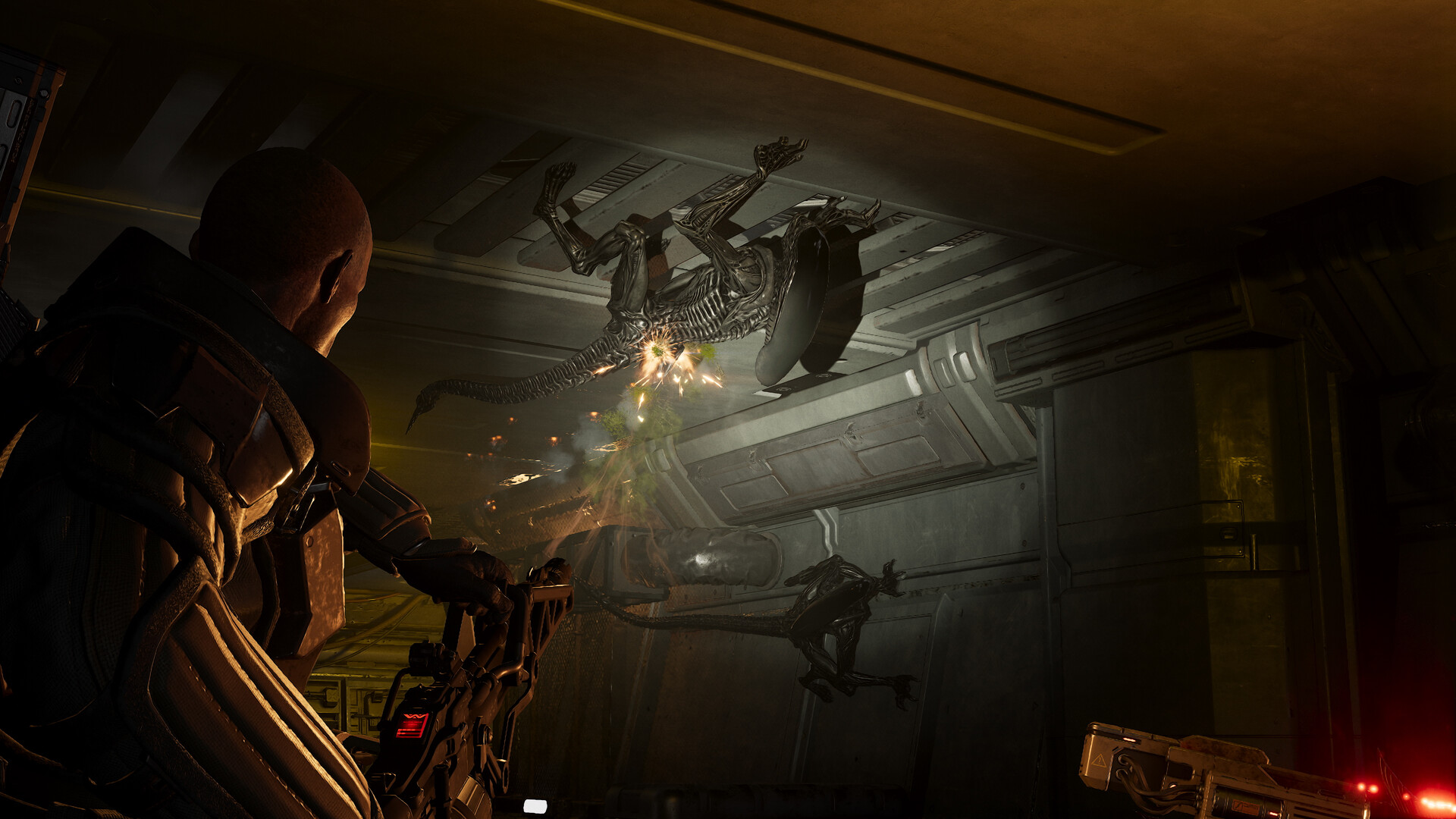 Aliens: Fireteam Elite 2 - 40th Anniversary Premium Edition Upgrade