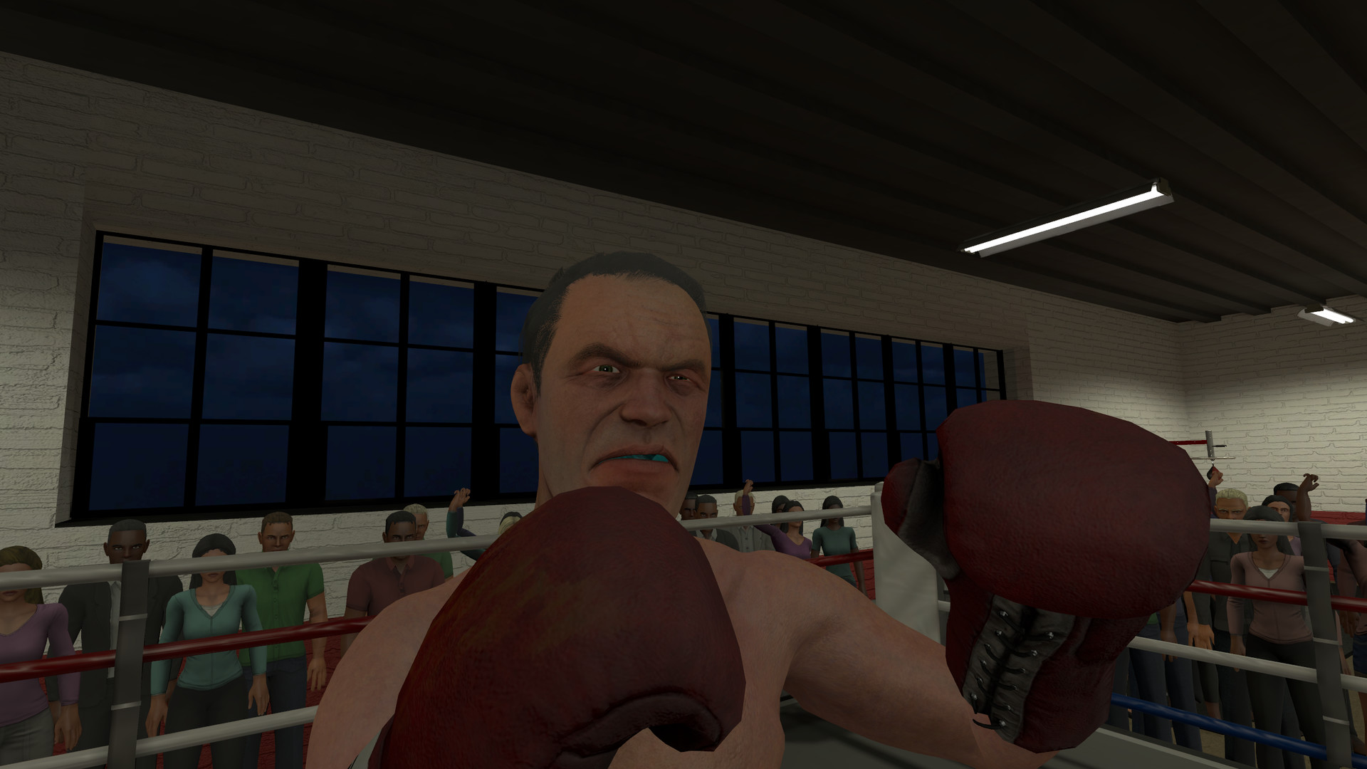 Screenshot The Thrill of the Fight - VR Boxing
