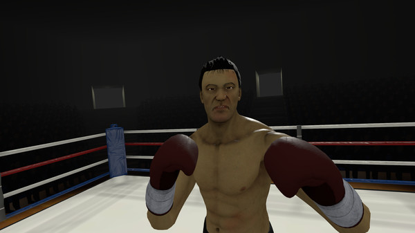 The Thrill of the Fight - VR Boxing