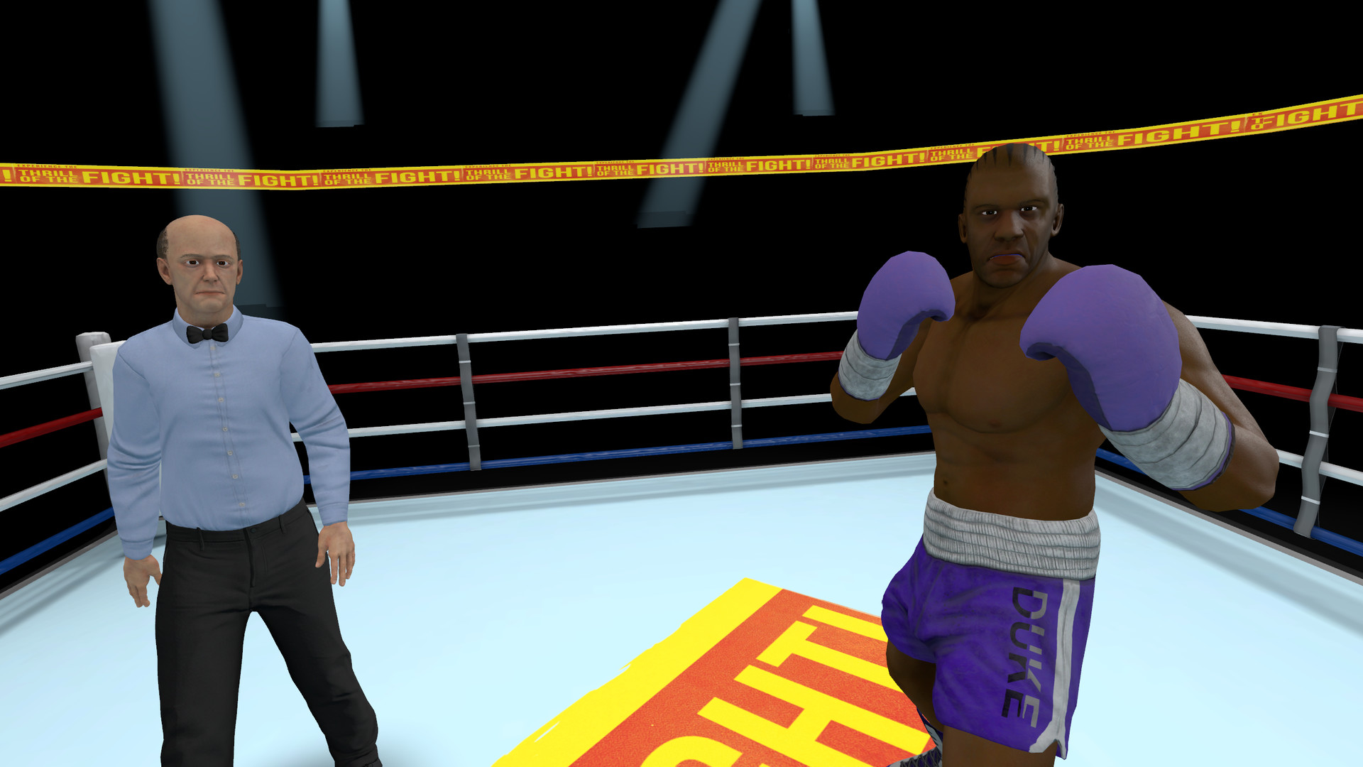 The Thrill of the Fight — VR Boxing