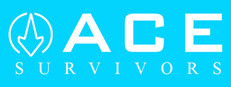 Ace Survivors