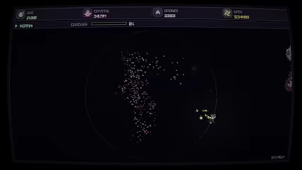 ECHIDNA video 1