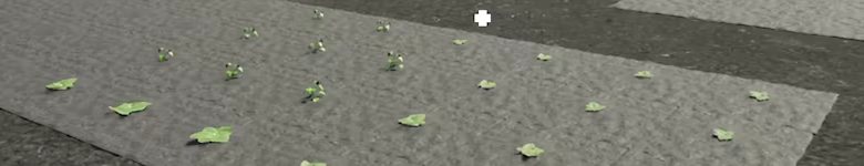 Perfect Place video 1