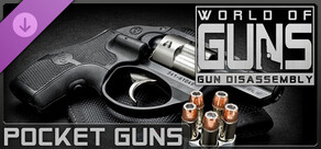 World of Guns: Pocket Guns Pack #1