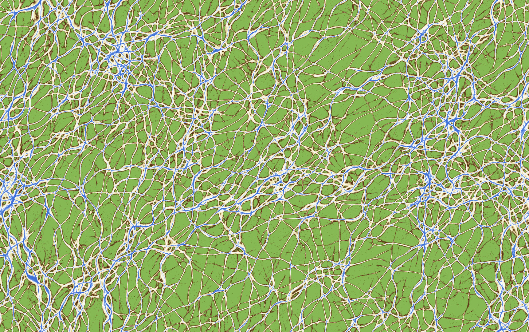 Vizza screenshot 5