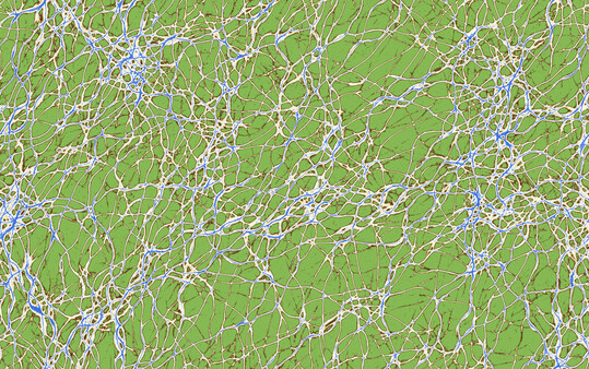 VIZZA screenshot 8