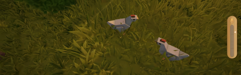 Moo Who? video 1