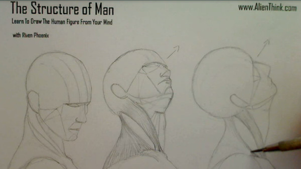 Complete Figure Drawing Course HD