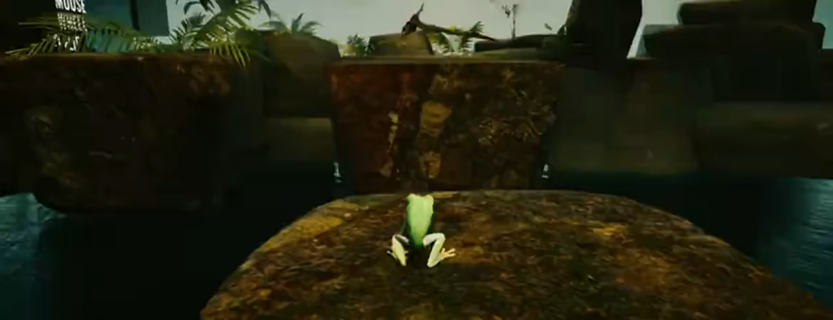 Planet Frog video 1