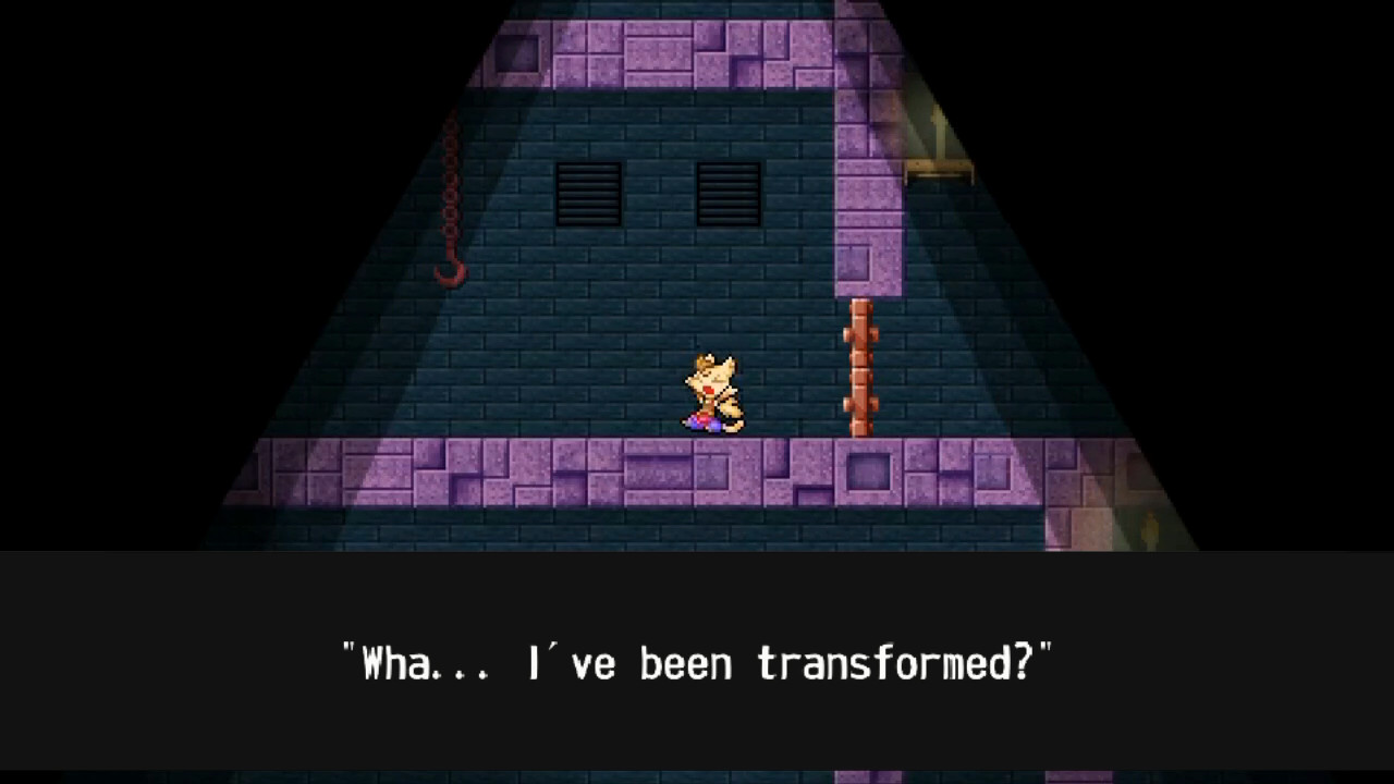 Wondership Q screenshot #6