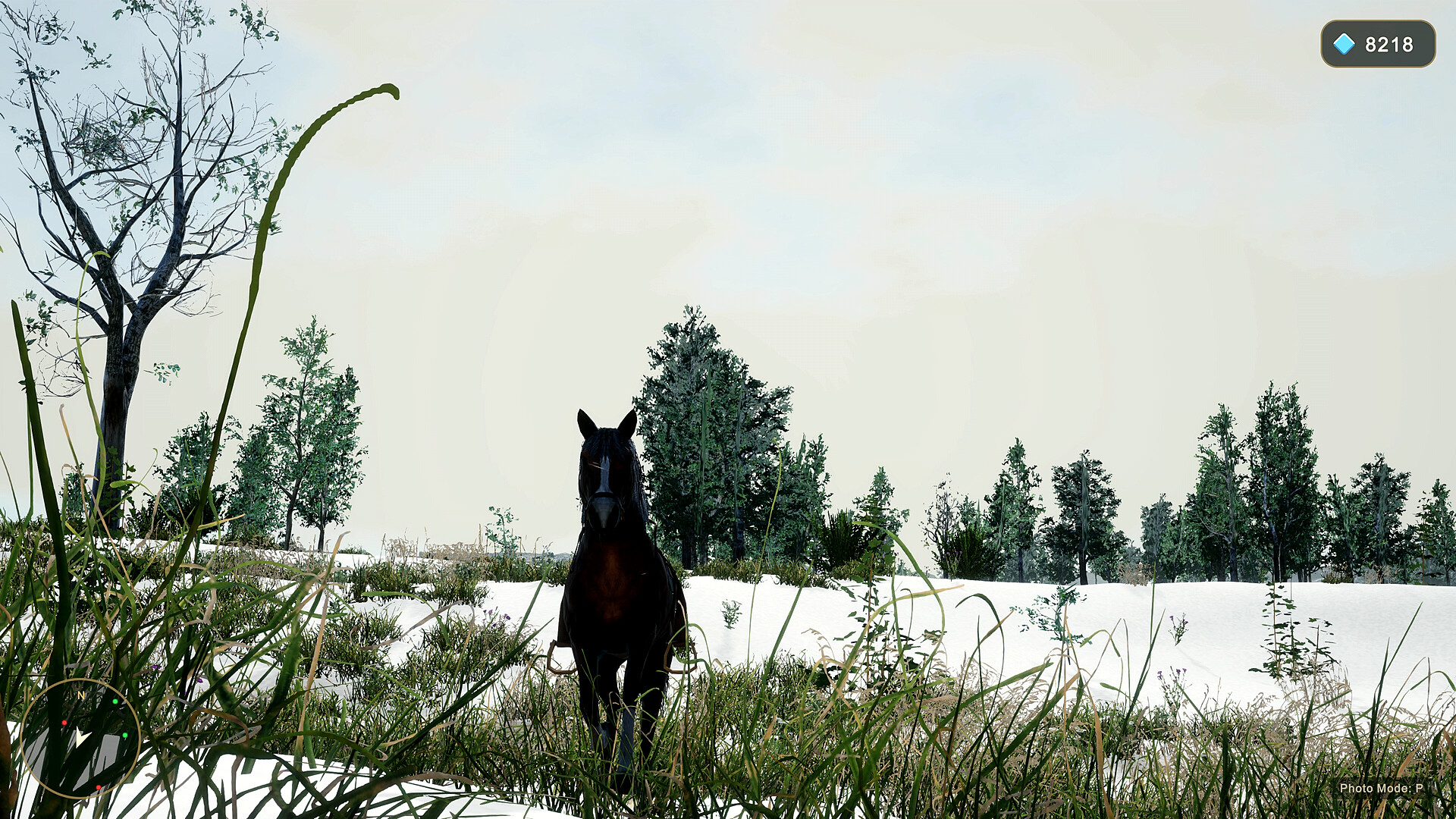 Horse Spirit Valley 2 screenshot 6