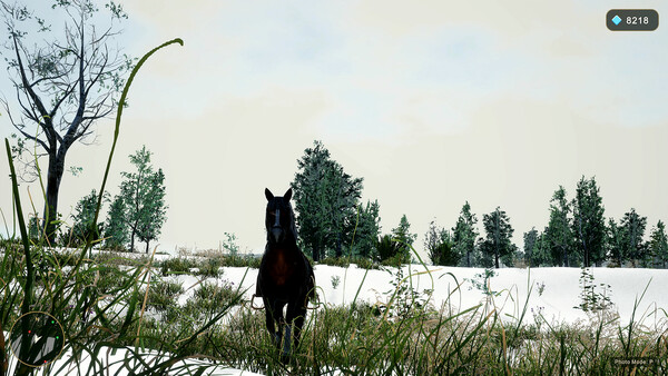 Horse Spirit Valley 2 screenshot 6