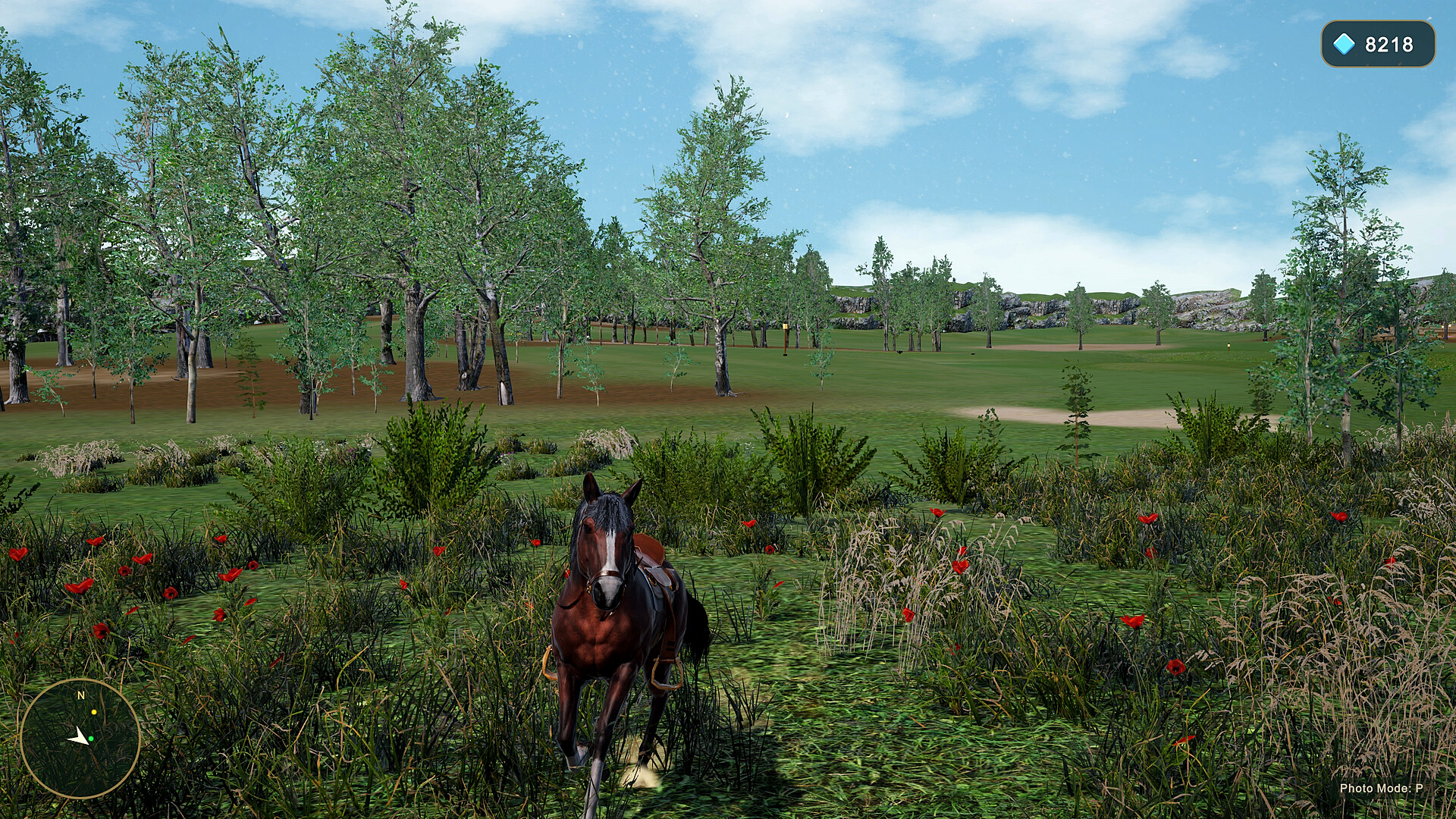 Horse Spirit Valley 2 screenshot 9