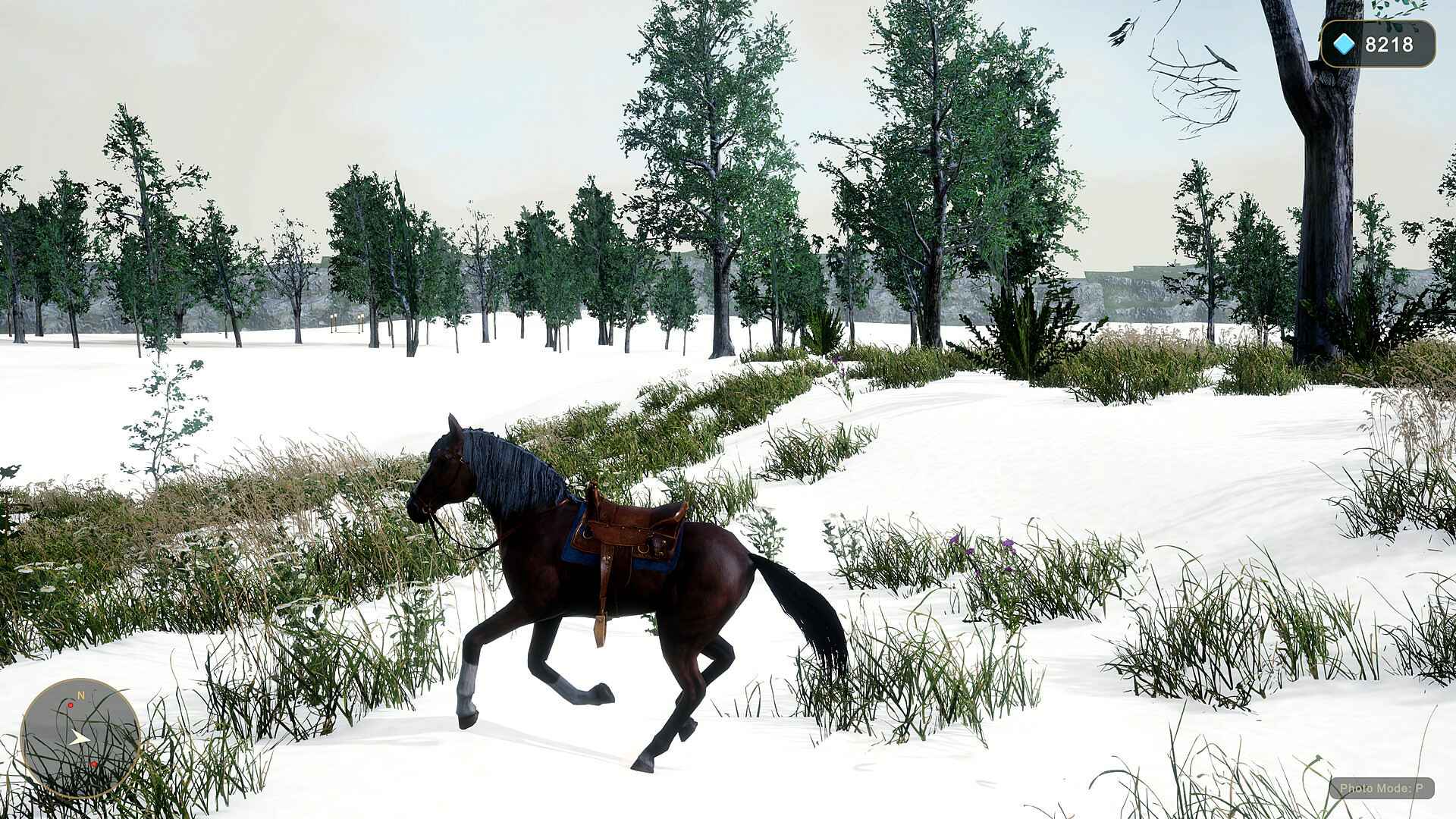Horse Spirit Valley 2 screenshot 11