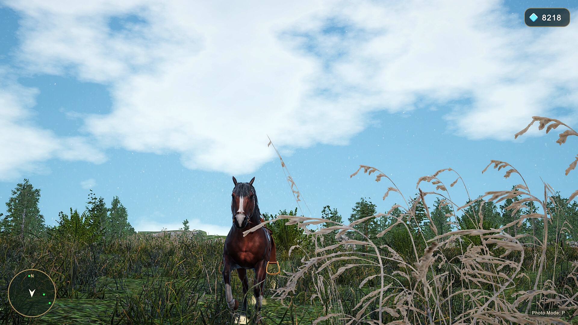Horse Spirit Valley 2 screenshot 19