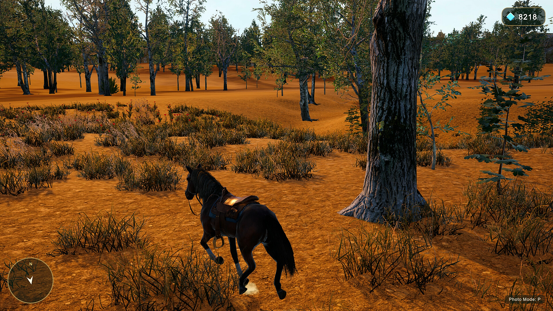 Horse Spirit Valley 2 screenshot
