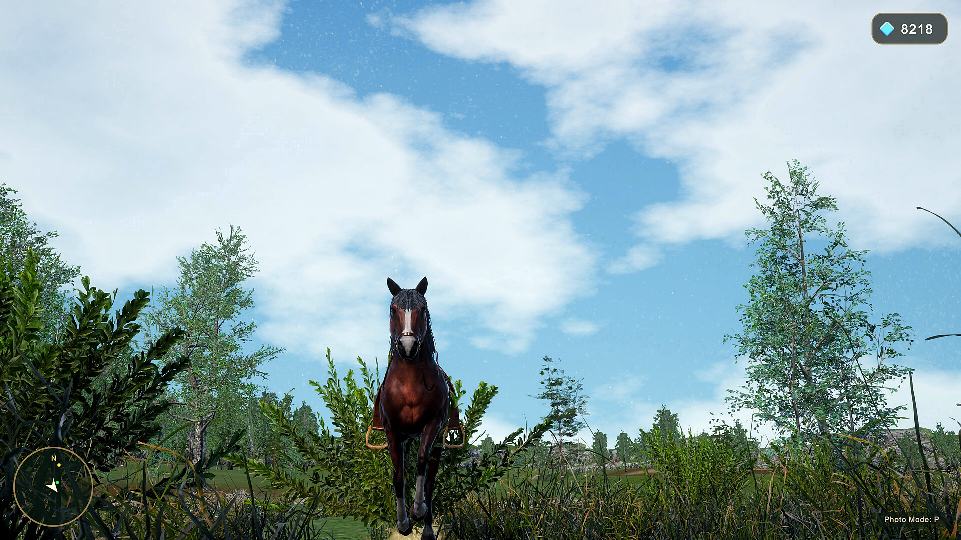 Horse Spirit Valley 2 screenshot 7