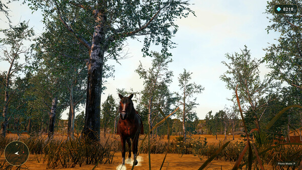 Horse Spirit Valley 2 screenshot 15
