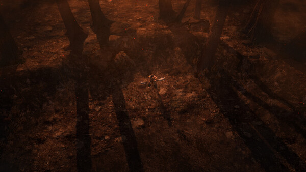 Oniro — 11