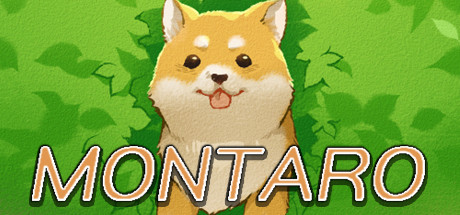 Montaro banner