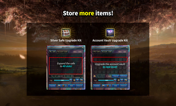 Dungeon Fighter Online: Beginner Pack