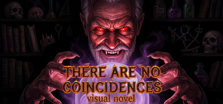 Visual Novel: There Are No Coincidences cover