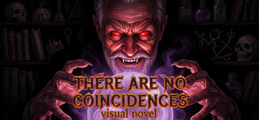 Visual Novel: There Are No Coincidences