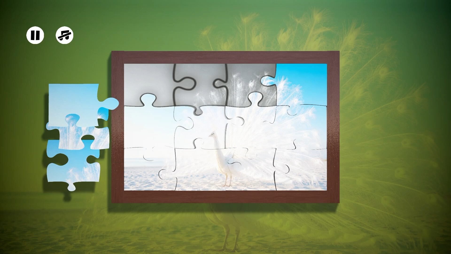 Puzzles Birds