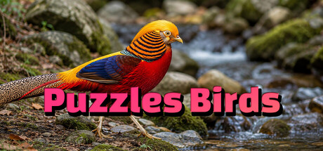 Puzzles Birds banner image