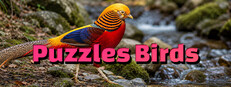 Puzzles Birds