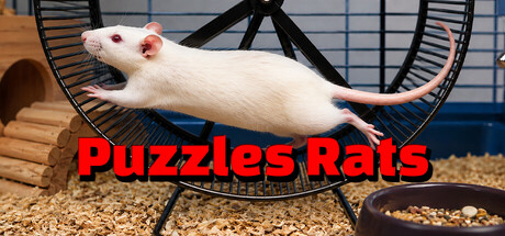 Puzzles Rats cover