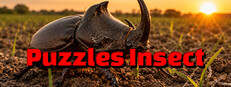 Puzzles Insect