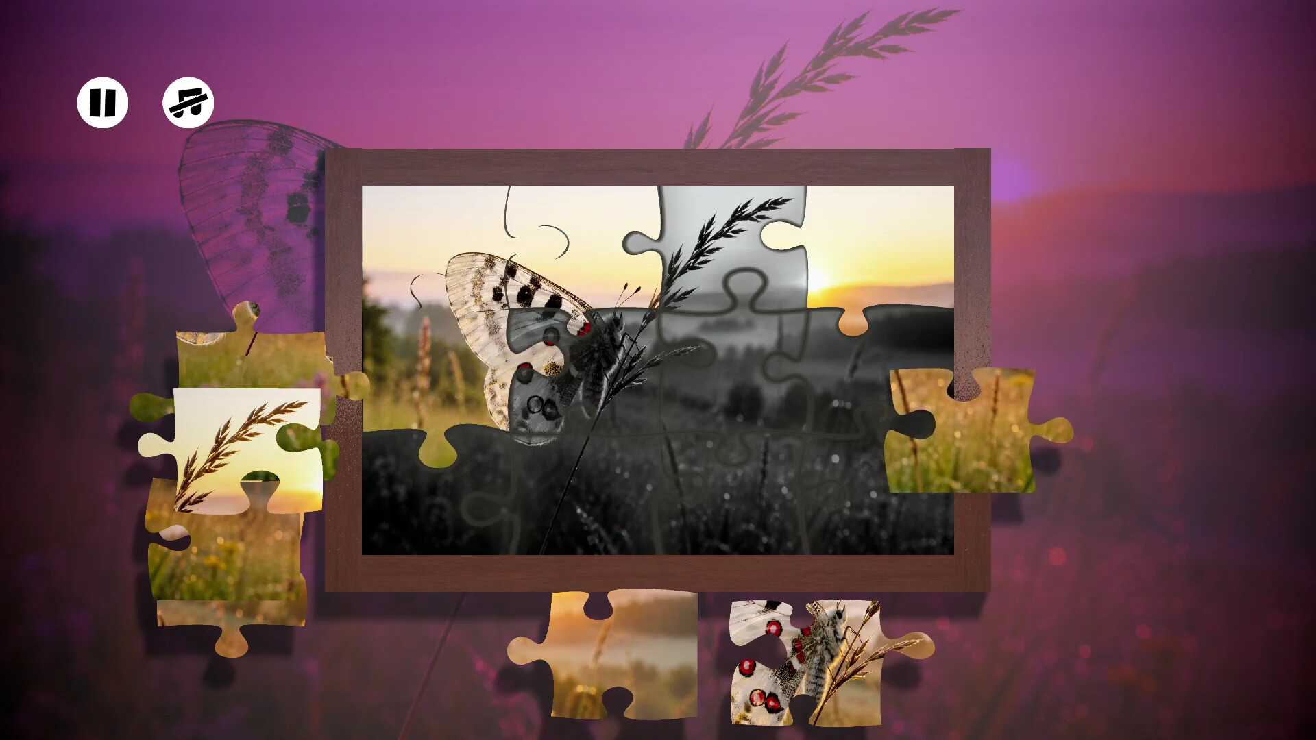 Puzzles Insect screenshot