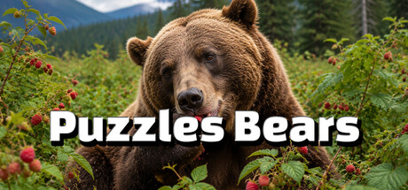 Puzzles Bears banner image
