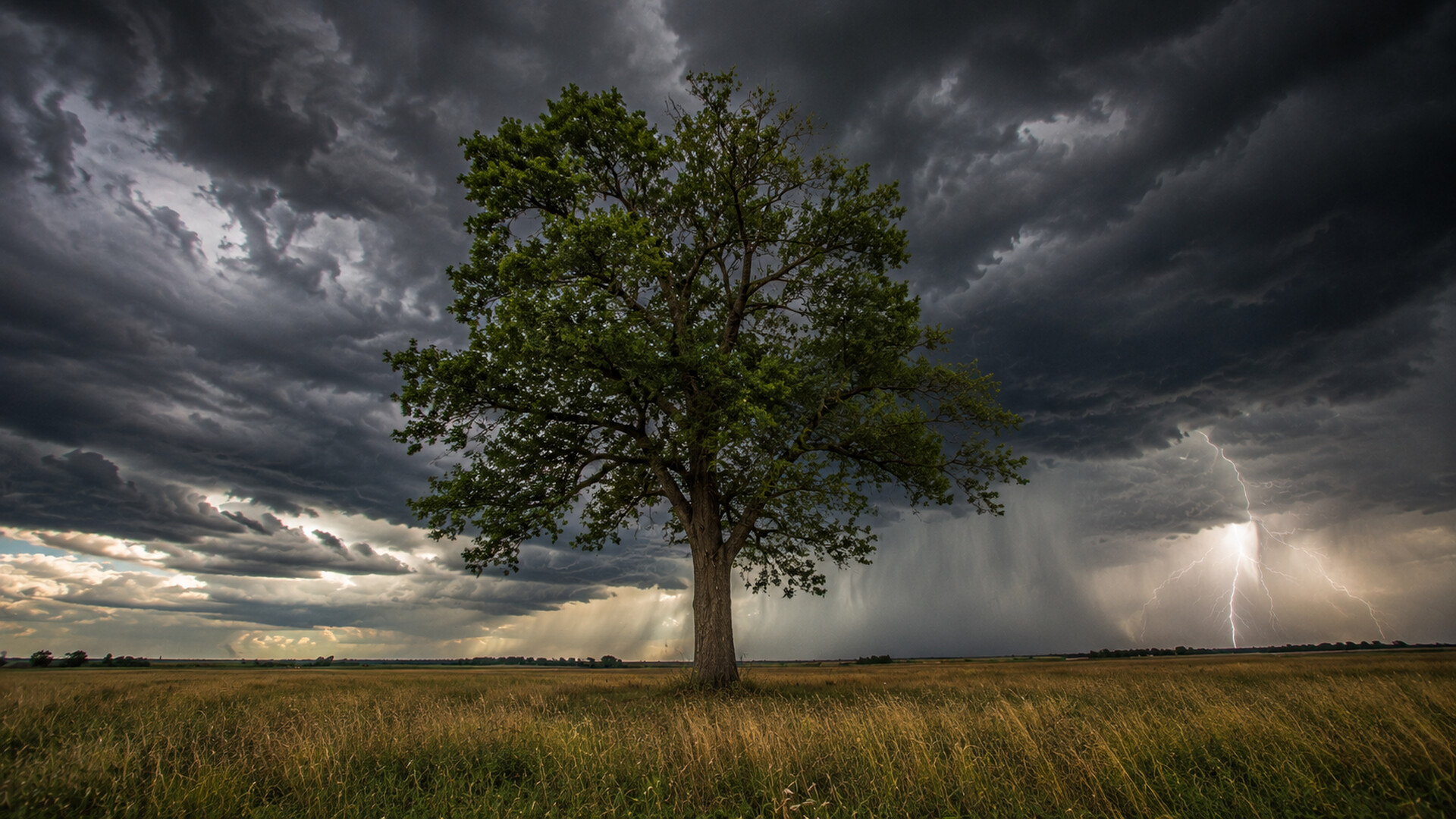 Puzzles Trees screenshot 3