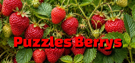 Puzzles Berrys