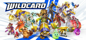 Wildcard