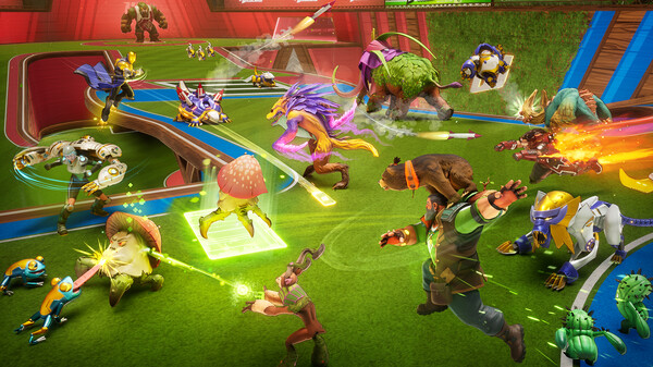 Wildcard screenshot 2