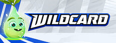 Wildcard